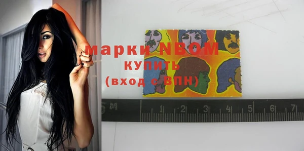 мдпв Осинники