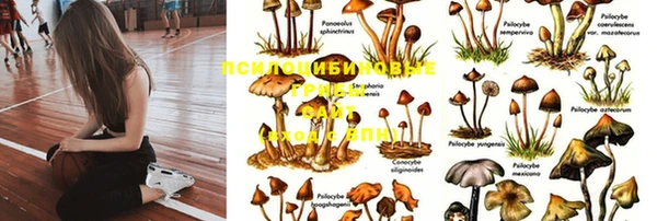 прущая мука Арсеньев